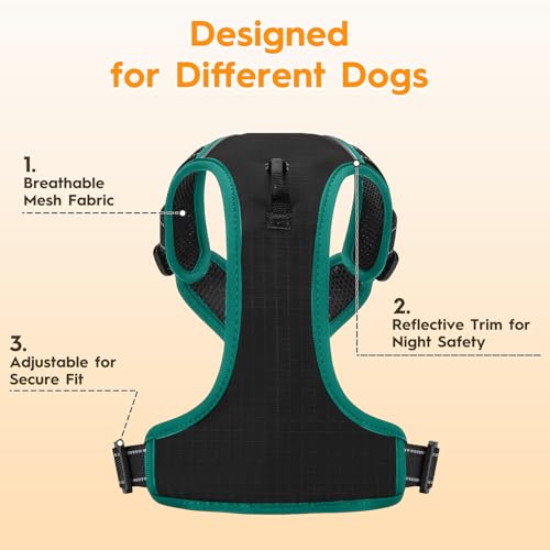 No Pull Dog Harness, No Chock Reflective Adjustable Soft Padded Pet Vest with Easy Control Handle, Easy Wearing with Stylish, Reinforced Knot, 2 Buckles - color: Black/Turquoise, size: X-Small