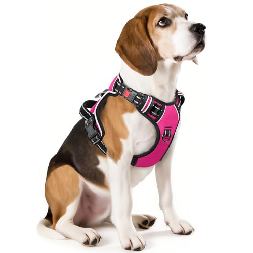 No Pull Dog Harness, No Choke Front Lead Dog Reflective Harness, Adjustable Soft Padded Pet Vest with Easy Control Handle for Small Medium Large Dogs, M - color: Lock-Rosy, size: Medium (Pack of 1)