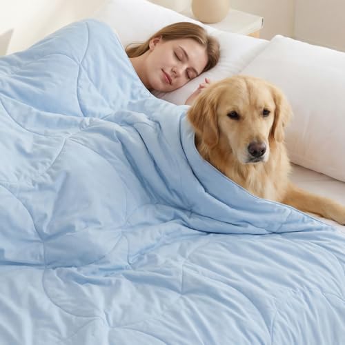 ZOMISIA Premium Cooling Dog Blanket for Bed - Q-MAX>0.5 Cold Breathable Washable Extra Large Pet Mat, Travel Soft Dog Summer Essentials, Blue, 60"x80" - color: Blue, size: Twin(60x80")