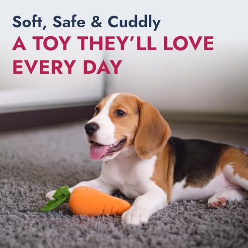 PETLOU 8 Inch Carrot Plush Dog Toy for Soft Chewers – Durable Squeaky & Crinkle, Anti Boredom Chew Toy for Dogs, Cute Soft Stuffed Calming Indoor Pet Toy for All Dog Breeds