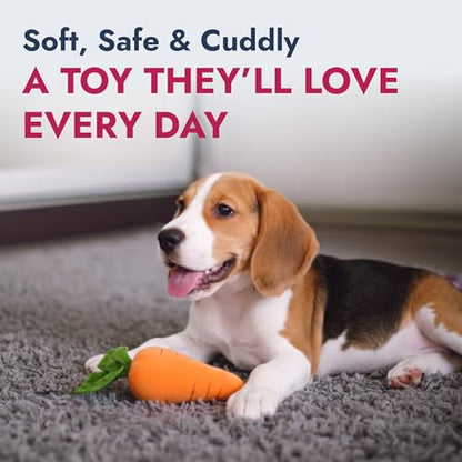 PETLOU 8 Inch Carrot Plush Dog Toy for Soft Chewers – Durable Squeaky & Crinkle, Anti Boredom Chew Toy for Dogs, Cute Soft Stuffed Calming Indoor Pet Toy for All Dog Breeds