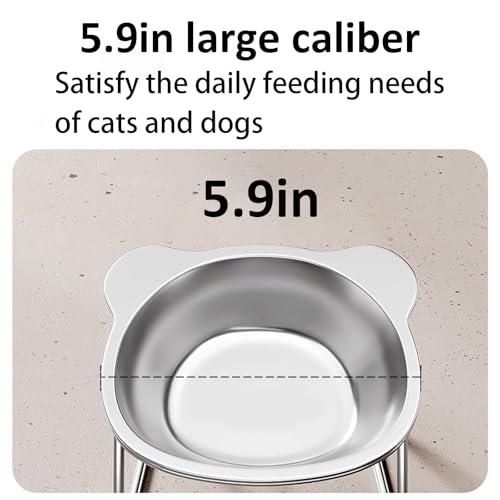 Stainless Elevated cat Bowls 5.9 Inch with Metal Stand Slip Resistant Base 15 Degrees Tilted Raised Pet Dishes Double Bowl Design Food and Water Dish for Cats Kitten Small Dog (2 Pack Raised Bowls) - color: 2 pack raised bowls