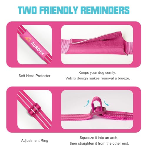 AUROTH Dog Harness and Leash Set, Soft Padded Service Dog Vest with 5.25FT Dog Leash, No Choke, Easy On Pet Vest, Adjustable Reflective No Pull Dog Harness Small Sized Dog, Easy Walking and Training - color: Rose Red, size: Small