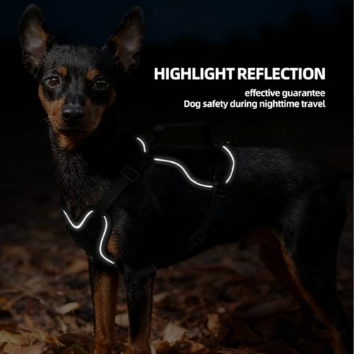 Tactical Dog Harness and Leash Set for Small Dogs - Military Puppy Vest Harness with Patches Vertical Handle Reflective Pet Harness for Walking Hiking Outdoor Training (Black, XS) - size: Xs