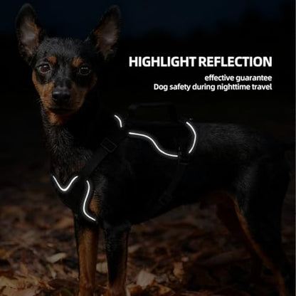 Tactical Dog Harness and Leash Set for Small Dogs - Military Puppy Vest Harness with Patches Vertical Handle Reflective Pet Harness for Walking Hiking Outdoor Training (Black, XXS) - size: Xxs