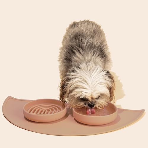 Should We Go? Slow Feeder for Dogs & Cats, The Slowdown Bowl Silicone Slow Eating Mealtime Solution with Modern Lick Mat Design, Reduces Gulping, Fits 1 Cup, 6” Across x 1.25” Tall, Small-Blush - color: Blush - Rainbow Design, size: Small (6” Across x 1.2