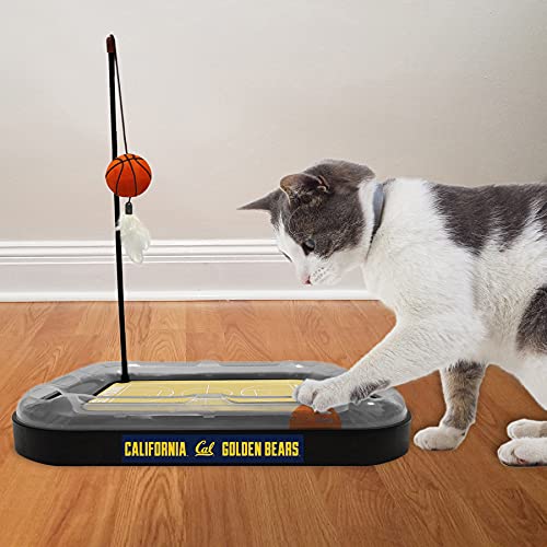 Cat Scratch Toy NCAA CALIFORNIA BERKELEY Golden Bears REVERSIBLE Basketball Court Felt/Cardboard Cat Scratcher. Interactive Cat Ball Bell. 6-in-1 CAT TOY: Cat Wand Poll, CATNIP-FILLED Plush Basketball - color: Golden Bears