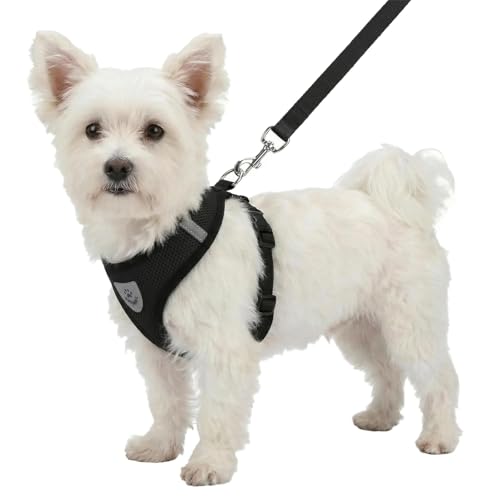 Pet Dog Vest Harnesses Puppy Cotton Polyester Adjustable Dog Mesh Harness Travel Chest Strap Vest Reflective (M, Black) - color: Black, size: M