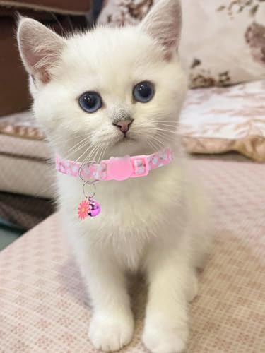 10PC Floral Cat Collar Set with Bells - Breakaway Safety for Kittens and Small Cats (#2) - color: #2