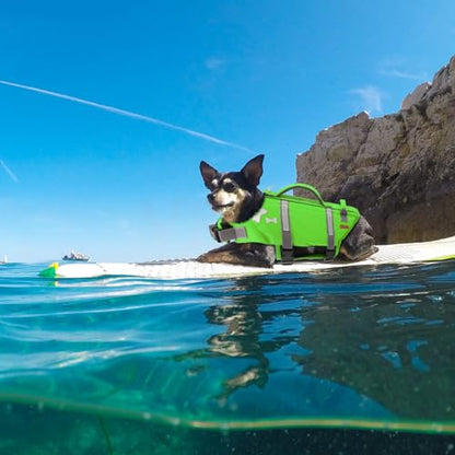 EMUST Dog Life Vests, Adjustable Dog Life Jacket with Rescue Handle, Dogs Flotation Vest for Small/Medium/Large Dogs, XS, NewGreen - color: NewGreen, size: XS