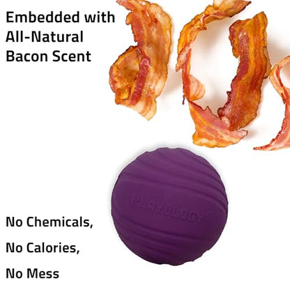 Playology Dog Toys | Dual Layer Ball Durable Chew Toy for Tough Chewers | Bacon Scented Medium Dog Toy | Chew Toys for Dogs - size: Medium, style: Bacon
