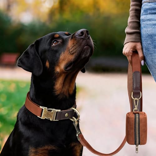Personalized Dog Collars, Custom PU Leather Dog Collar with Name&Phone Number, Engraved Dog Collar for Large Dogs, Adjustable Durable Collar with Quick Release Metal Buckle, Brown,XL - color: Brown, size: Xl: Neck 20-27", Width 1.2"