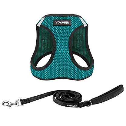Best Pet Supplies Voyager Step-in Air All Weather Mesh Harness and Reflective Dog 5ft Leash Combo with Neoprene Handle, for Small, Medium and Large Breed Puppies - Set (Turquoise 2-Tone), X-Small