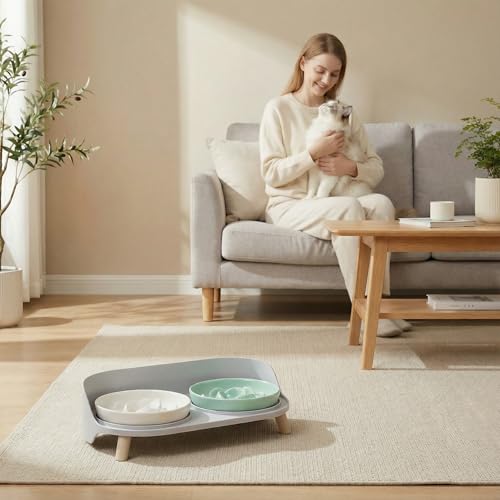Raised Dog Feeder Bowl Stand - Elevated Dining Table for Small and Medium Dogs and Cats - Fits Food and Water Dish up to 6" Diameter - Milky White (Bowls Not Included) - color: Milky White, size: Medium