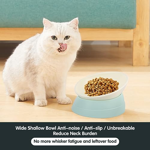 Bulldog Bowl Anti-Slip Dog Cat Dish Detachable Rubber Dog Bowl Pet Sterile Tilted Pet Feeder Slope Base (Green, 3.5 Cup (Medium/Large Dog)) - color: Green, size: 3.5 Cup ( Medium/Large Dog )