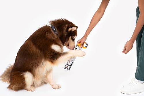 OllyDog Tugger | Durable Dog Tug Toy | Recycled | Tough Dog Bite Pillow | Handle | Interactive Pull Toy | Fetch & Training (Magnolia) - color: Magnolia