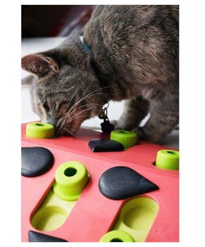 Interactive Dog and Cat Games Treat Hiding Challenge Mental Stimulation with Rewards (10 Inch Melon Madness Cat Game) - size: 10 Inch Melon Madness Cat Game