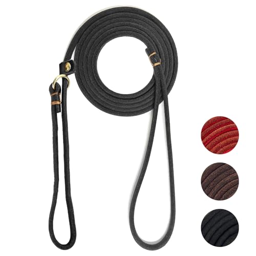 Guiding Star Leather Slip Lead Dog Leash for Small Dogs & Puppies 6 Ft x 1/4 Inch,Luxurious and Lightweight Leather Training Dog Leash for Walking with Soft Handle (Black) - color: Black, size: Slip Leash