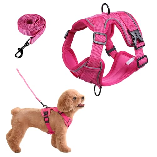 SOLMOONY Small Dog Harness,Soft Mesh Puppy Harness and Leash Set,No Escape Cat Harnesses for Training Walking,Reflective Adjustable Puppy Vest for Small Medium Dogs, Cats (Hot Pink, M) - color: Hot Pink, size: M