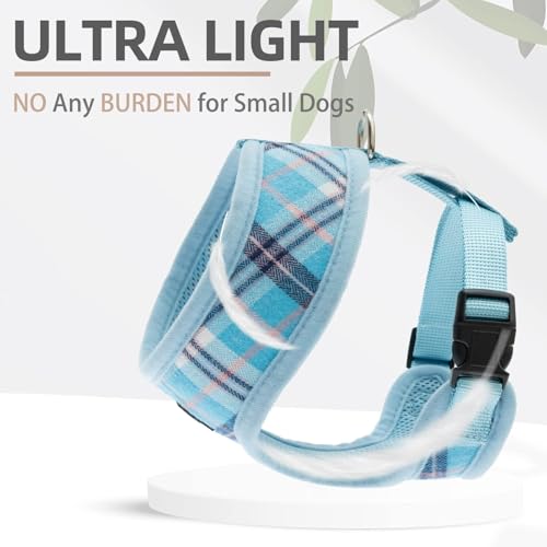 PUPTECK Soft Mesh Dog Harness and Leash Set Pet Puppy Cat Comfort Padded Vest No Pull Harnesses, Light Blue, XS - color: Blue, size: XS (NECK: 10", CHEST: 10"-14")