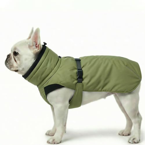 Dog Winter Coat, Warm Puffer Jacket with Fur-Safe Buckle & Leash Hole for Cold Weather, Water-Repellent Snow Vest, Breathable Thermal Apparel for Hiking & Active Dogs (Green, X-Small) - color: Green, size: X-Small