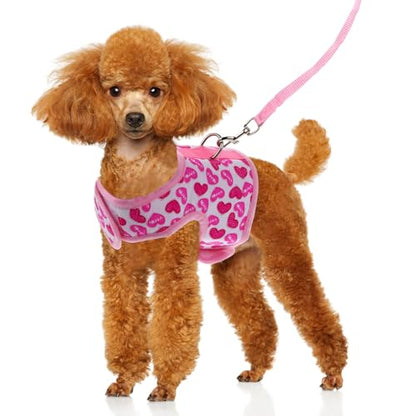 VOSAREA Pet Harness with Leash Breathable Mesh Vest Strap Adjustable Soft S Size for Small Dogs Summer Cooling Puppy Harness