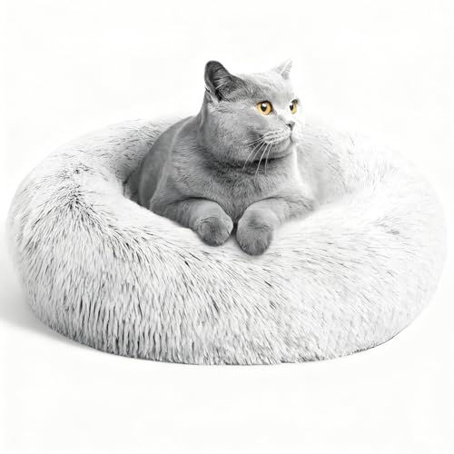 Washable Dog & Cat Bed for Ultra Large Small Medium Size Pet, Calming Donut Round Cute Warming Mat House Supply Indoor, 8 Sized Deal Necessity Essential Furniture for Boy Girl Puppy Kitten kitty - color: Light Grey, size: Small