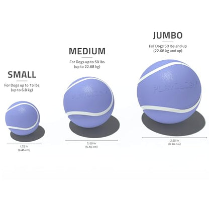Playology Dog Toys | Squeaky Chew Ball - Bouncy Durable Floating Fetch Ball for Dogs , Value 3-Pack | Small Blueberry Scented Toy - Easy to Clean and Made from Non Toxic Materials - size: Small (VALUE 3-Pack), style: Blueberry