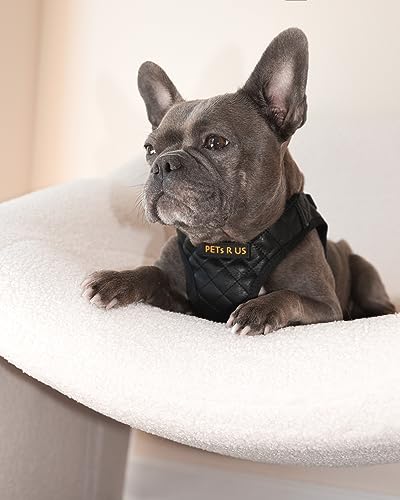 Step in Dog Cat Harness Lightweight Breathable Mesh Soft Padded Pet Vest Vegan Leather Choke Free Escape Proof for Small Medium Dogs (Black, XL) - color: Black, size: XL: Neck=14-18'', Chest:21-23''