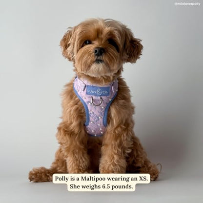 Lucy & Co. Magnificent Mermaids Pearl No-Pull Dog Harness, Adjustable Front Clip Harness with Comfort Padding, Small - color: Magnificent Mermaid, size: Small
