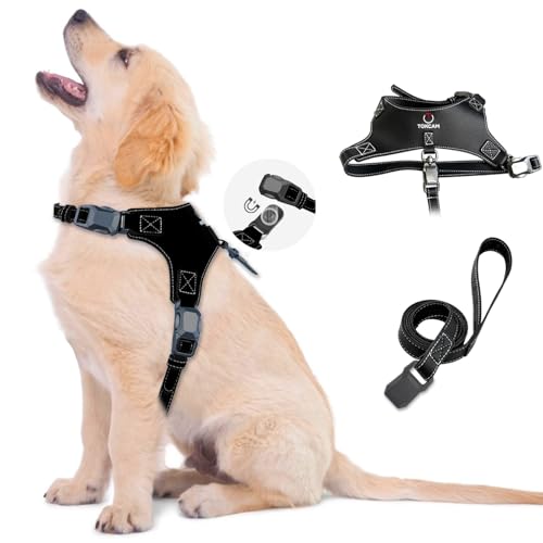 Magnetic Puppy Harness and Leash with Quick Release Buckle, Easy On & Off Faux Leather Dog Harness and Leash for Small, Medium, Large Sized Dogs for Training - color: Black, size: Medium