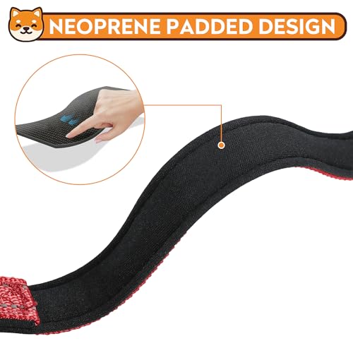 Reflective Dog Collar, Adjustable Soft Neoprene Padded Nylon Pet Collars with Buckle for Puppy and Small Dogs, Cats, Red,XS - color: Red, size: X-Small