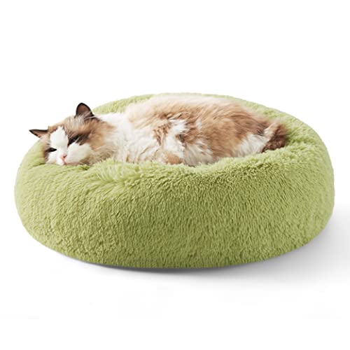 Bedsure Calming Cat Beds for Indoor Cats - Small Cat Bed Washable 20 inches, Anti-Slip Round Fluffy Plush Faux Fur Pet Bed, Fits up to 15 lbs Pets, Green - color: Green, size: 20"L x 20"W x 6"Th