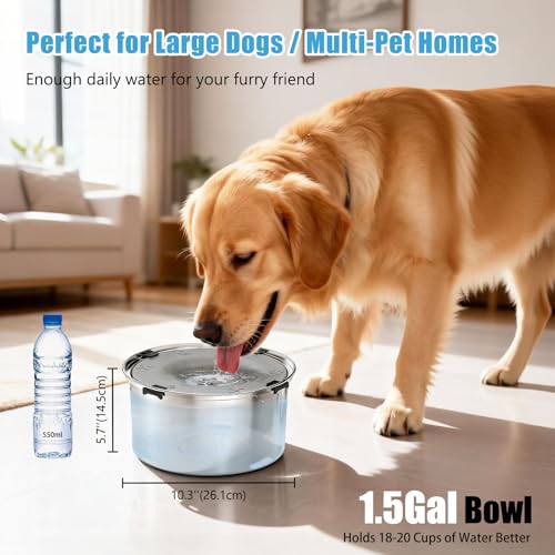 SCHITEC No Spill Dog Water Bowl for Large Dogs, 5.6L / 1.5 Gallon Stainless Steel Splash-Proof Slow Drinking Pet Dish with Floating Disk & Non-Slip Base, Mess-Free Design for Home or Travel-Gray - color: Gray