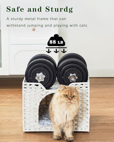 SETVSON Cat Beds Indoor Kitten House, Handwoven Rattan Cat Cave Pet Cube, Large Cat Houses, One Bed Mat, Foldable, Hideaway, 16.5x16.5x13.2 Inches, 2 S-Shaped Hooks in Living Room Bedroom White - color: White, size: Rectangle-M