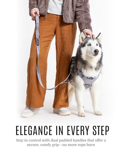 Fei & Eve Classic Dog Leash - 4FT, Dual Padded Handles, 360° Swivel Hook, Heavy Duty 210D Nylon - No-Pull Design with Traffic Control Handle - for Small/Medium/Large Dogs, Gray - color: Twilight Gray, size: 4FT