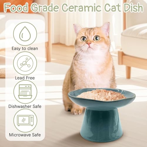 VCEPJH Raised Cat Food Bowls Shallow Cat Plate Ceramic Elevated Cats Dish 6.1in Flat Anti Whisker Fatigue Wide Pet Food & Water Feeder for Indoor Kitty Kitten (Blue) - color: blue