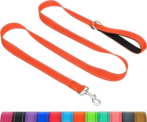 Taglory Dog Leash for Medium Large Dogs, Double-Sided Reflective for Night Walking, Neoprene Padded Handle, 1 inch by 4 ft, Heavy Duty for Medium Large Breeds 20-150 lbs, Orange - color: Orange, size: 1 in x 4 ft (Pack of 1)