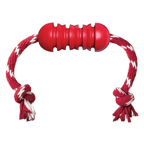 KONG Dental with Rope- for Dog Dental Care - Stuffable Chew Toy - Provides Chewing Outlet & Satisfies Instinctual Needs - Cleans Teeth & Gums - Made with Durable Natural Rubber - for Medium Dogs - size: Medium (Pack of 1)
