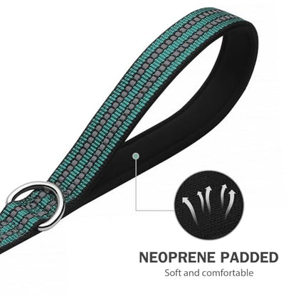Hikiko 6 FT Heavy Duty Dog Leash with 2 Padded Handles Reflective Nylon Double Handle Dog Leash, Dark Green - color: Dark Green, size: 1 in x 6 ft
