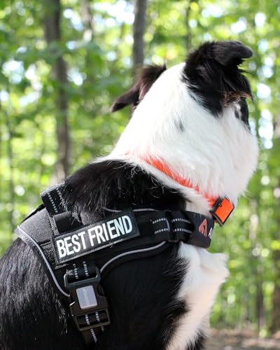 AUROTH Dog Harness and Leash Set, Soft Padded Service Dog Vest with 5.25FT Dog Leash, No Choke, Easy On Pet Vest, Adjustable Reflective No Pull Pet Vest Medium Sized Dog, Easy Walking and Training - color: Black, size: Medium