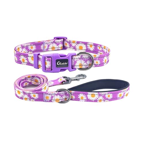 Dog Collar Leash Set, Floral Pattern, with Safety Reflective Strips, 5 ft Matching Leash, Neoprene Padded Handle, Adjustable 4 Sizes for Small Medium Large Dogs.(S, Purple Daisy) - color: Floral Daisy Purple, size: Small