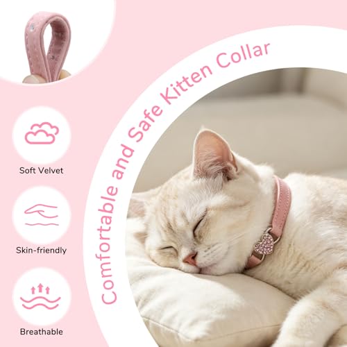 BINGPET Diamond Cat Collar,Adjustable Soft Velvet Leather Safe Kitten Collar with Crystal Heart Charm and Bells,Girl Boy Bling Stylish Cat Collars with Safety Elastic (Pink, Neck Girth 8"-10") - color: Pink(Heart), size: Neck Girth 8"-10"