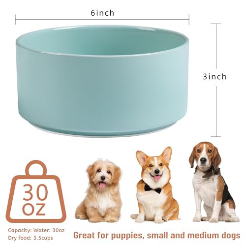 Dog Bowls, Non Slip Heavy Ceramic Dog Food and Water Bowl with Silicone Base, Pet Feeding Bowl for Puppies, Small and Medium Dogs (Glossy Light Green, 6 Inches) - color: Glossy Light Green, size: 6 Inches