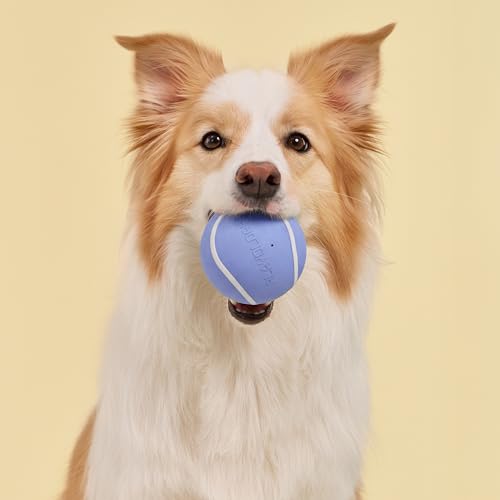 Playology Dog Toys | Squeaky Chew Ball - Bouncy Durable Floating Fetch Ball for Dogs | Jumbo Blueberry Scented Toy - Easy to Clean and Made from Non Toxic Materials - size: Jumbo, style: Blueberry