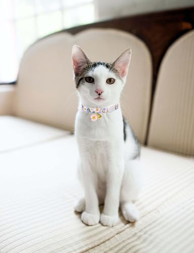 Cat Collar Breakaway with Bells,3 Pack Safety Adjustable Pet Collars,Ideal for Girl Boy Kittens. (Green Black Blue Daisy) - color: Green Black Blue Daisy