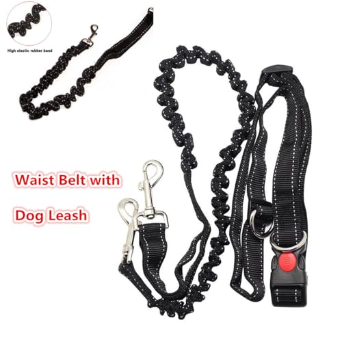 39.30Inch Bungee Dog Leash Waist,Hands Free Dog Leash Slip for Walking Hiking Running (Lumbar Waist Belt 26"-43")