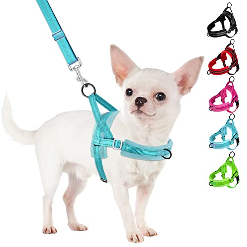 SlowTon No Pull Small Dog Harness and Leash Set, Puppy Soft Vest Harness Neck & Chest Adjustable, Reflective Lightweight Harness & Anti-Twist Pet Lead Combo for Small Medium Dogs(BL-Front Clip,S) - color: B-Teal - With Front Clip, size: Small