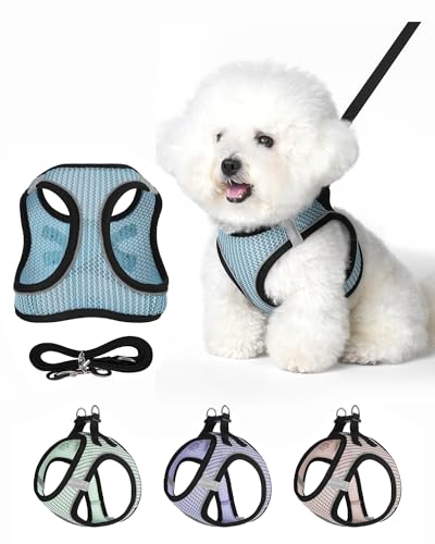 Dog Harness Small Sized and Leash Set, Step in Soft Light Puppy Vest, Breathable Mesh Pet Harness Suitable for Puppies and Kittens. (Blue, XXS(Chest:10.24-11.81")) - color: Blue, size: XXS(Chest:10.24-11.81")