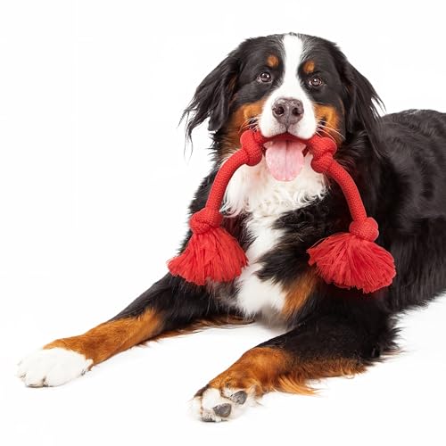 Playology Dog Toys | Dri-Tech Rope Tug of War Dog Toy for Tough Chewers | Beef Scented Mega Size Tug Rope Toys for Extra Large Dogs - size: Mega, style: Beef